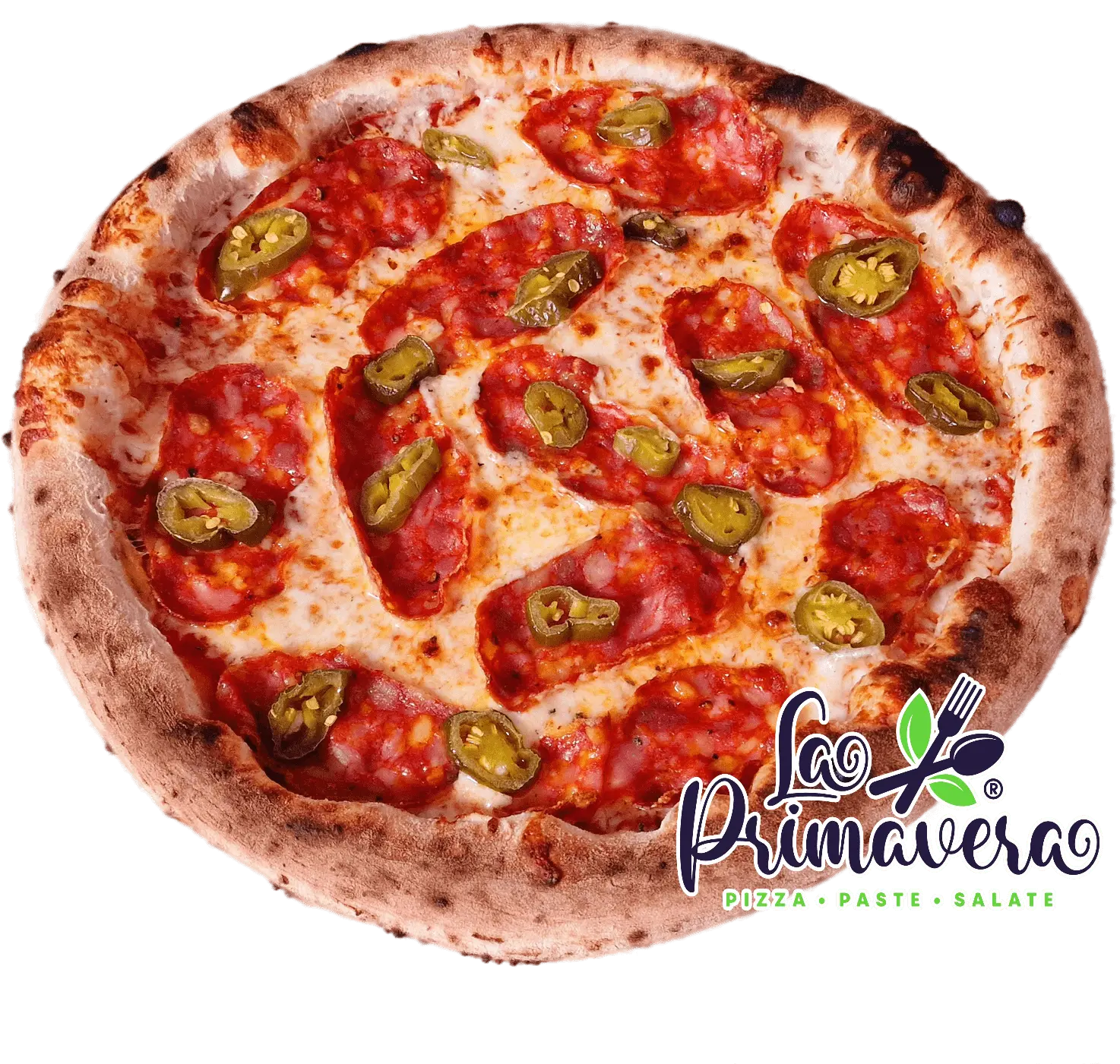 Pizza Spicy(Hot)